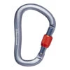 Black Diamond Rocklock Screwgate Karabiner Gray