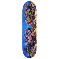 Mini Logo Mini-Logo Fin Fur &amp; Feather 8.0&quot; X 31.45&quot; Skateboard Deck Multicolor