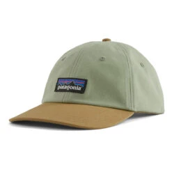 Patagonia P-6 Label Trad Cap Salvia Green