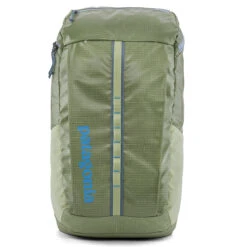 Patagonia Black Hole™ Pack 25L Rucksack Friend Green
